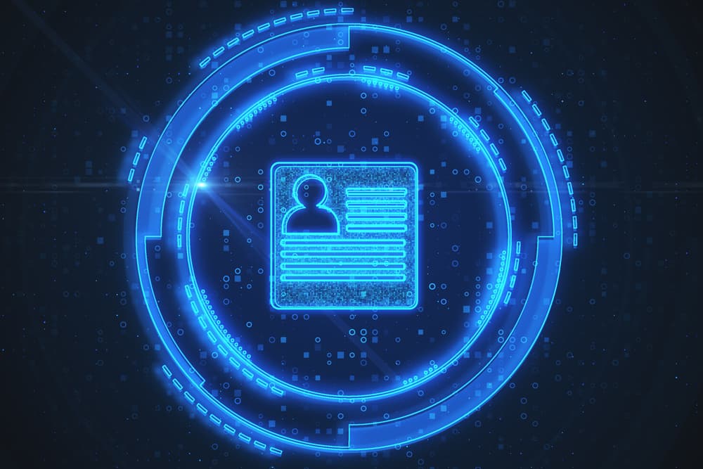 What is Digital Identity?